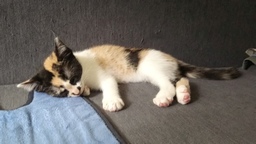 und mir reicht es auch