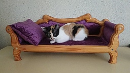 relaxtes bayrisches Fleckvieh