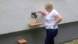 Kira - der erste Schritt nach draußen