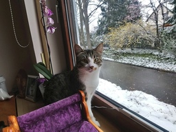 jetzt wirds Zeit ...