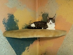 Kira probiert die Kuschelecke